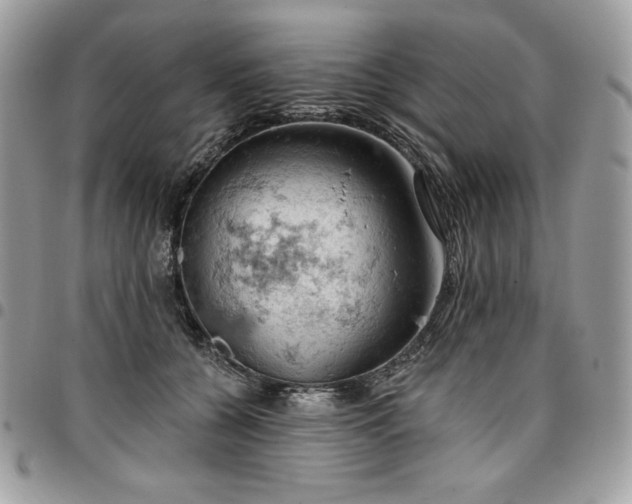 X0000096950560200802081232