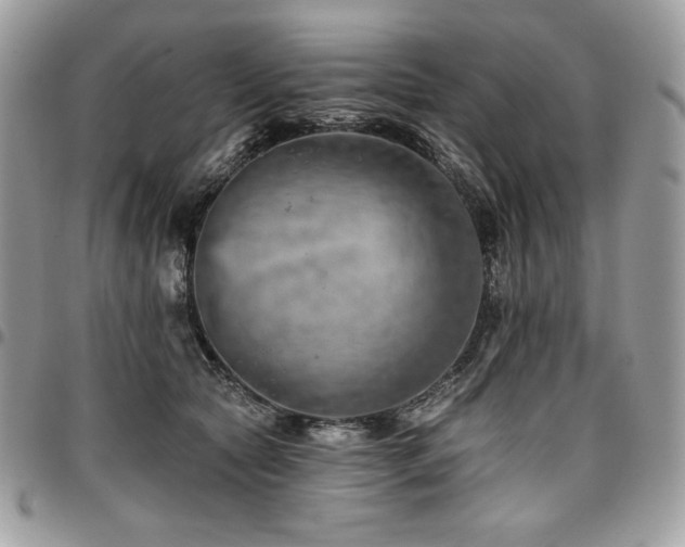 X0000096950561200802081232