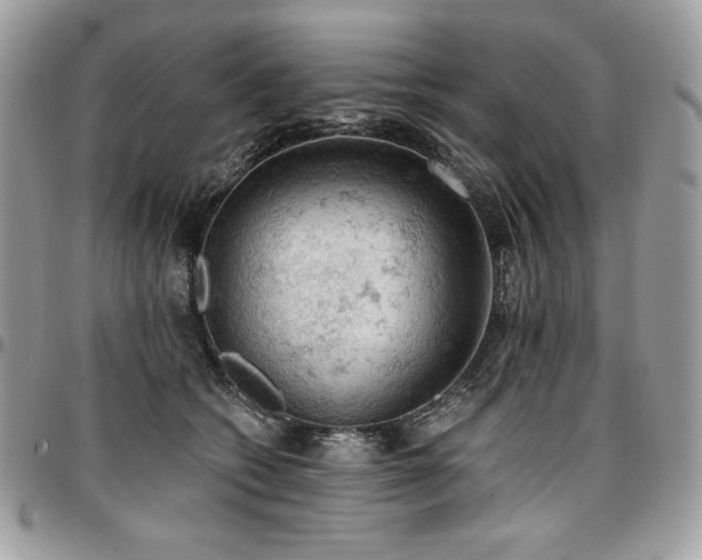 X0000096950562200802081232