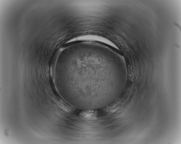 X0000096950563200802081232