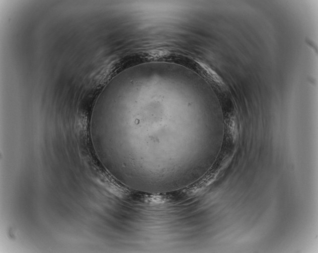 X0000096950565200802081232