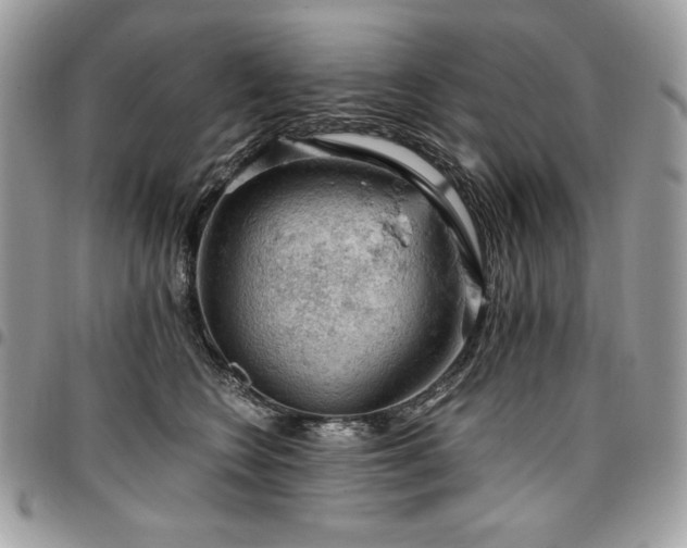 X0000096950566200802081232