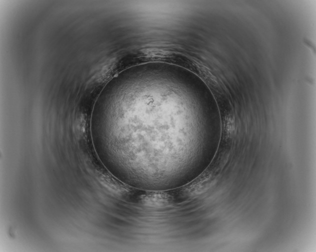 X0000096950567200802081232