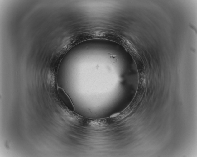 X0000096950568200802081232