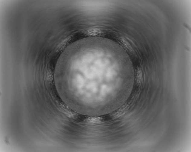 X0000096950569200802081232
