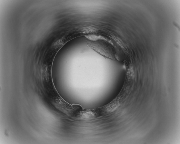 X0000096950572200802081232