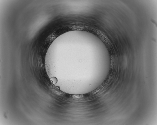 X0000096950573200802081232