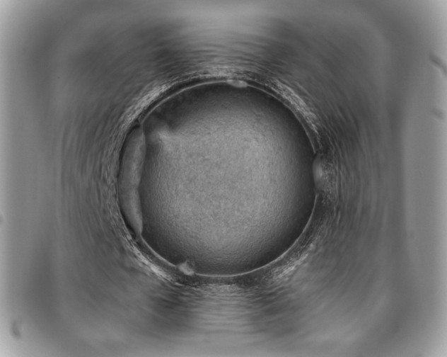 X0000096950577200802081231