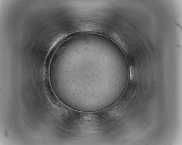 X0000096950579200802081231