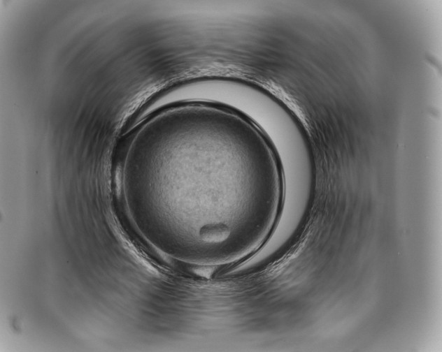 X0000096950581200802081231