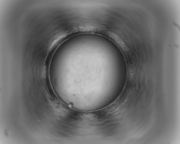 X0000096950583200802081231