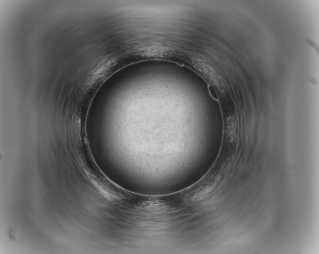 X0000096950589200802081231