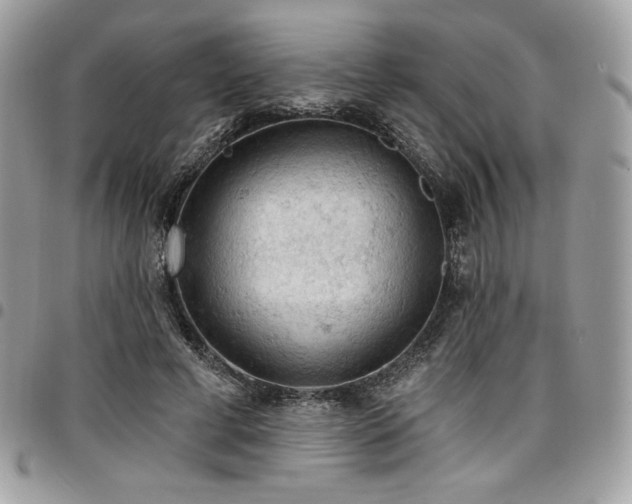 X0000096950593200802081231