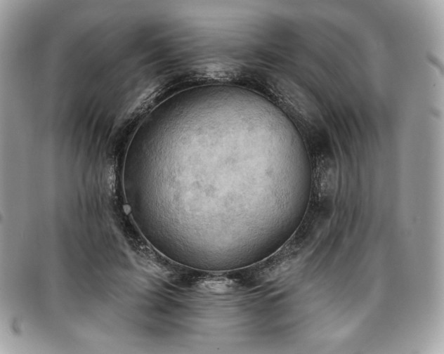 X0000096950595200802081231