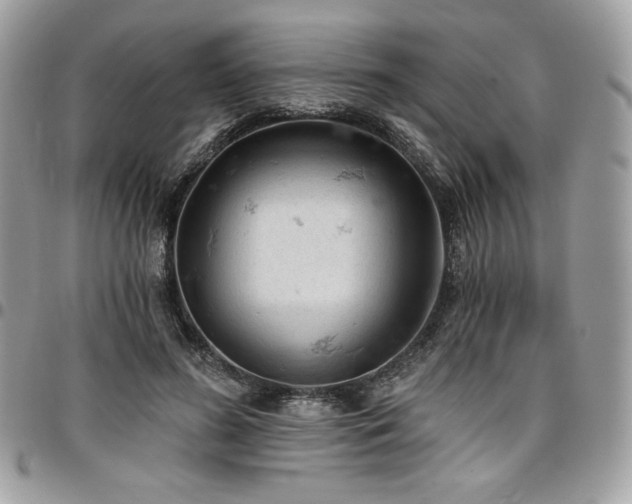 X0000096950596200802081231