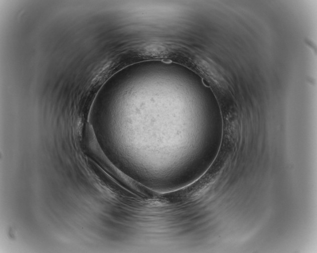 X0000096950597200802081231