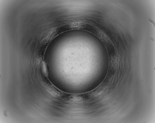 X0000096950601200802081231