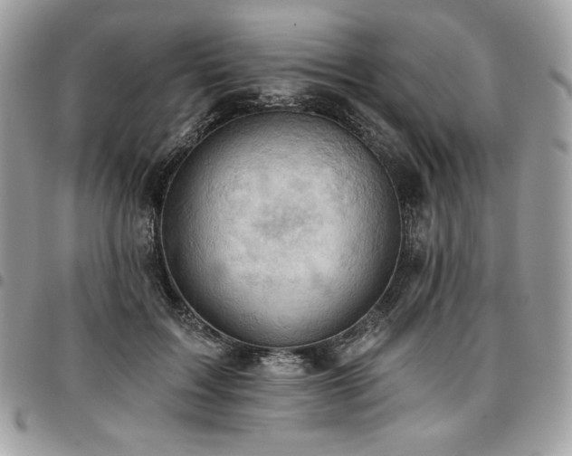 X0000096950603200802081231