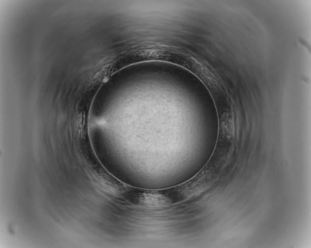 X0000096950605200802081231
