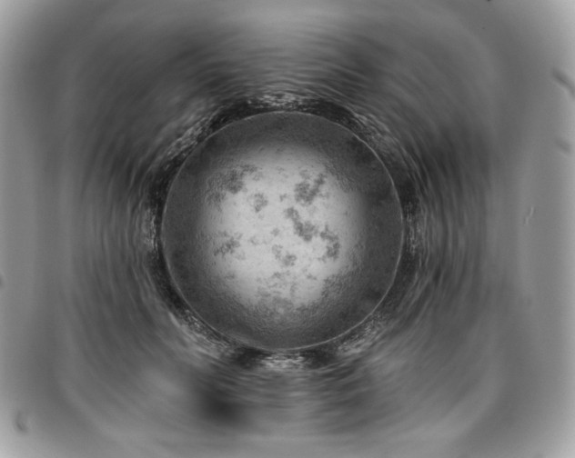X0000096950606200802081231