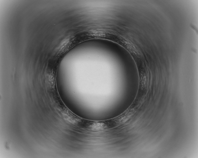 X0000096950609200802081231
