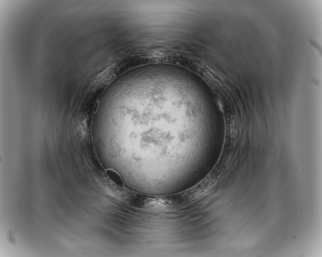 X0000096950611200802081231