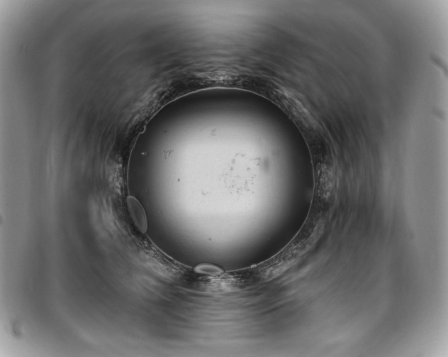 X0000096950612200802081231