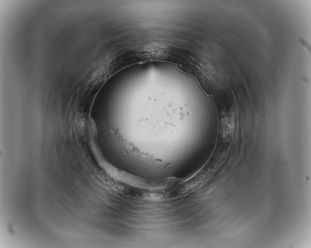 X0000096950613200802081231