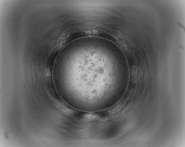 X0000096950614200802081231