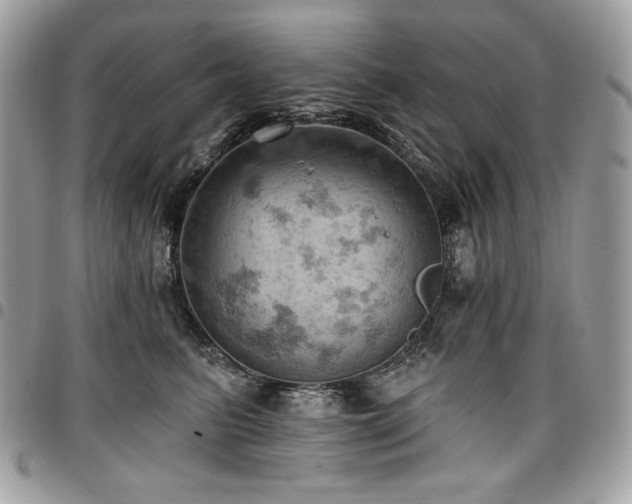 X0000096950615200802081231
