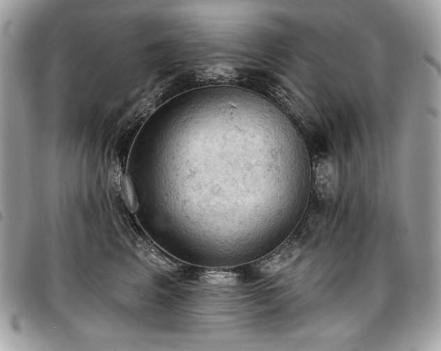 X0000096950617200802081231