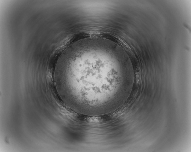 X0000096950618200802081231