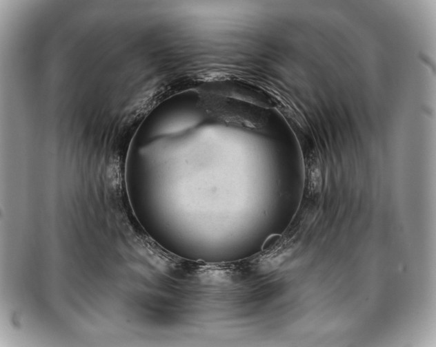 X0000096950620200802081231
