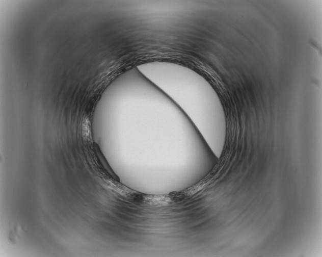 X0000096950621200802081231