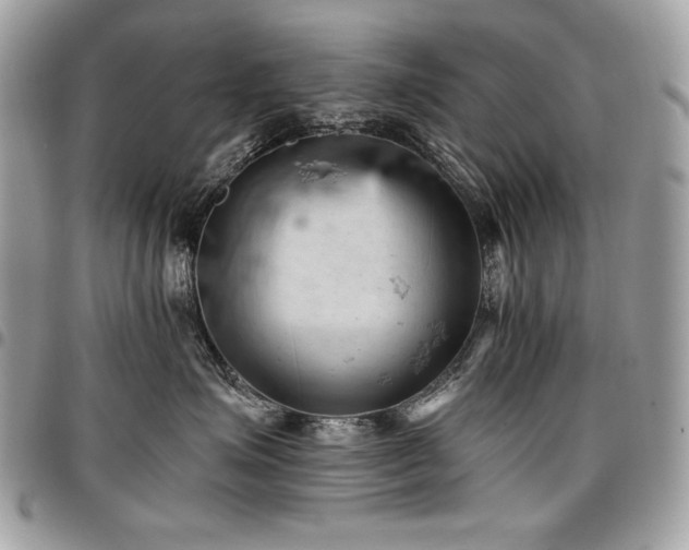 X0000096950623200802081231