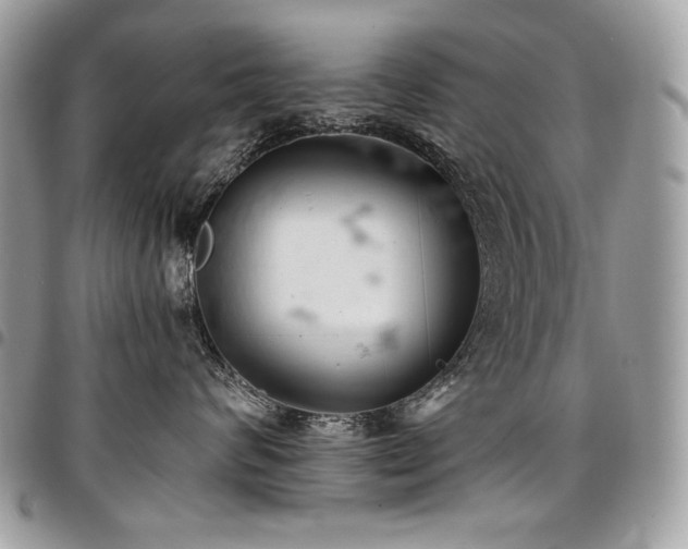 X0000096950624200802081231