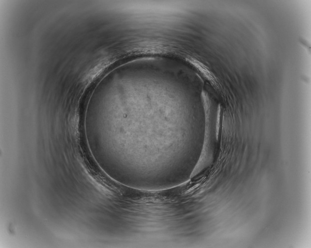 X0000096950627200802081230