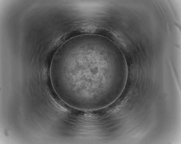 X0000096950641200802081230