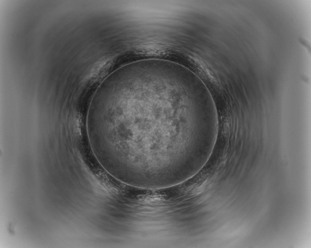 X0000096950643200802081230