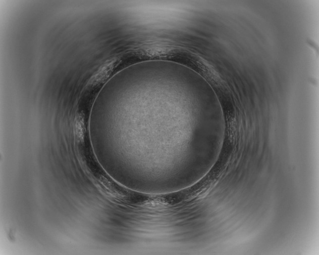 X0000096950644200802081230