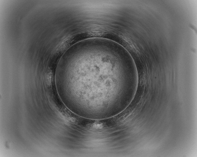 X0000096950647200802081230