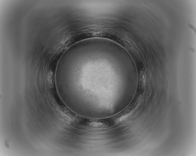 X0000096950650200802081230