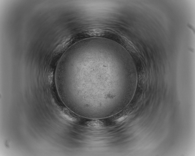 X0000096950652200802081231