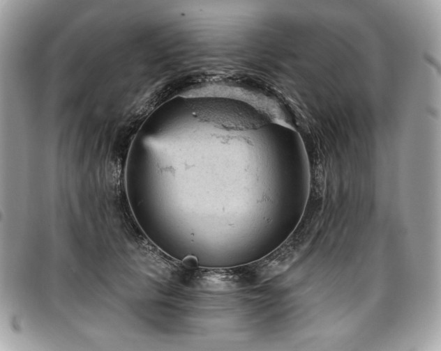 X0000096950657200802081231
