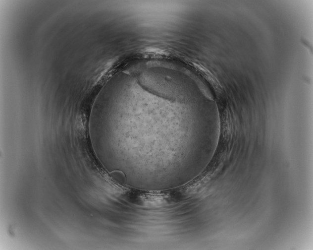 X0000096950661200802081231