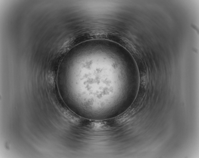 X0000096950662200802081231