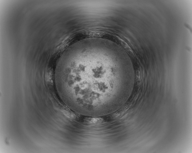 X0000096950663200802081231