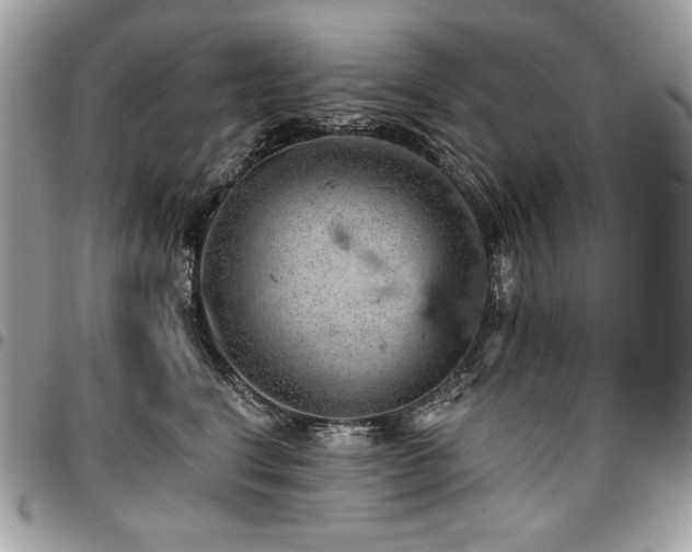 X0000096950664200802081231