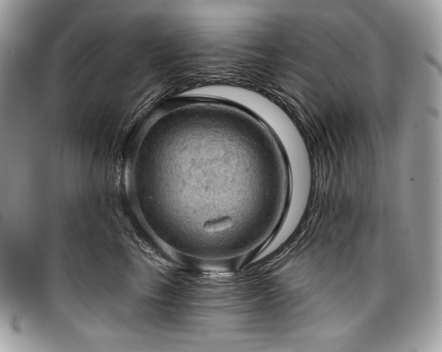 X0000096950665200802081231