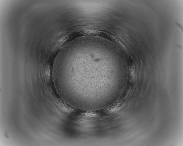X0000096950668200802081231
